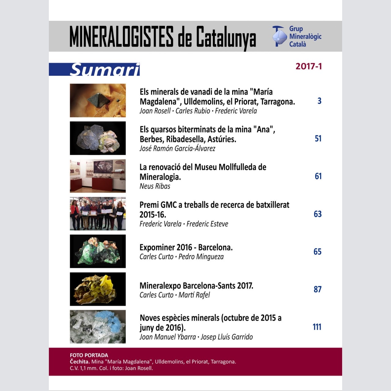 Mineralogistes de Catalunya (2017-1)