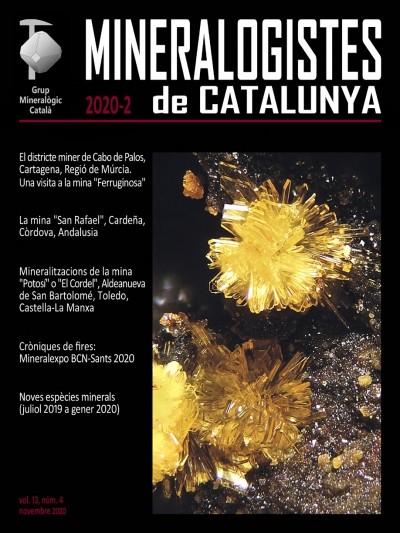 Mineralogistes de Catalunya (2020-2)