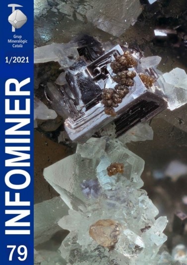 <em>Infominer</em> 79 (1/2021)