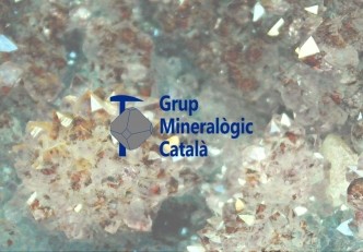 Verbena mineralógica de San Juan